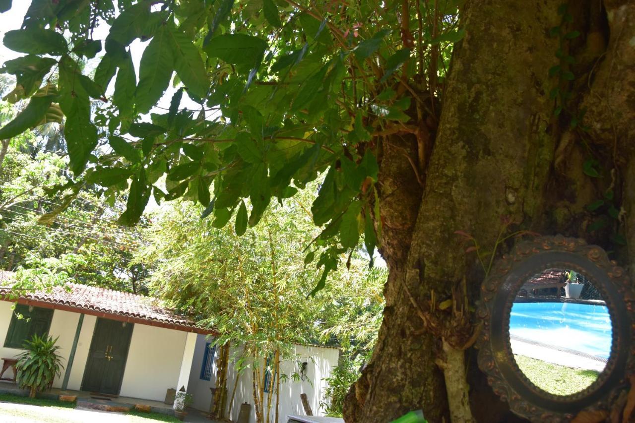 Sethra Villa Bentota Dış mekan fotoğraf